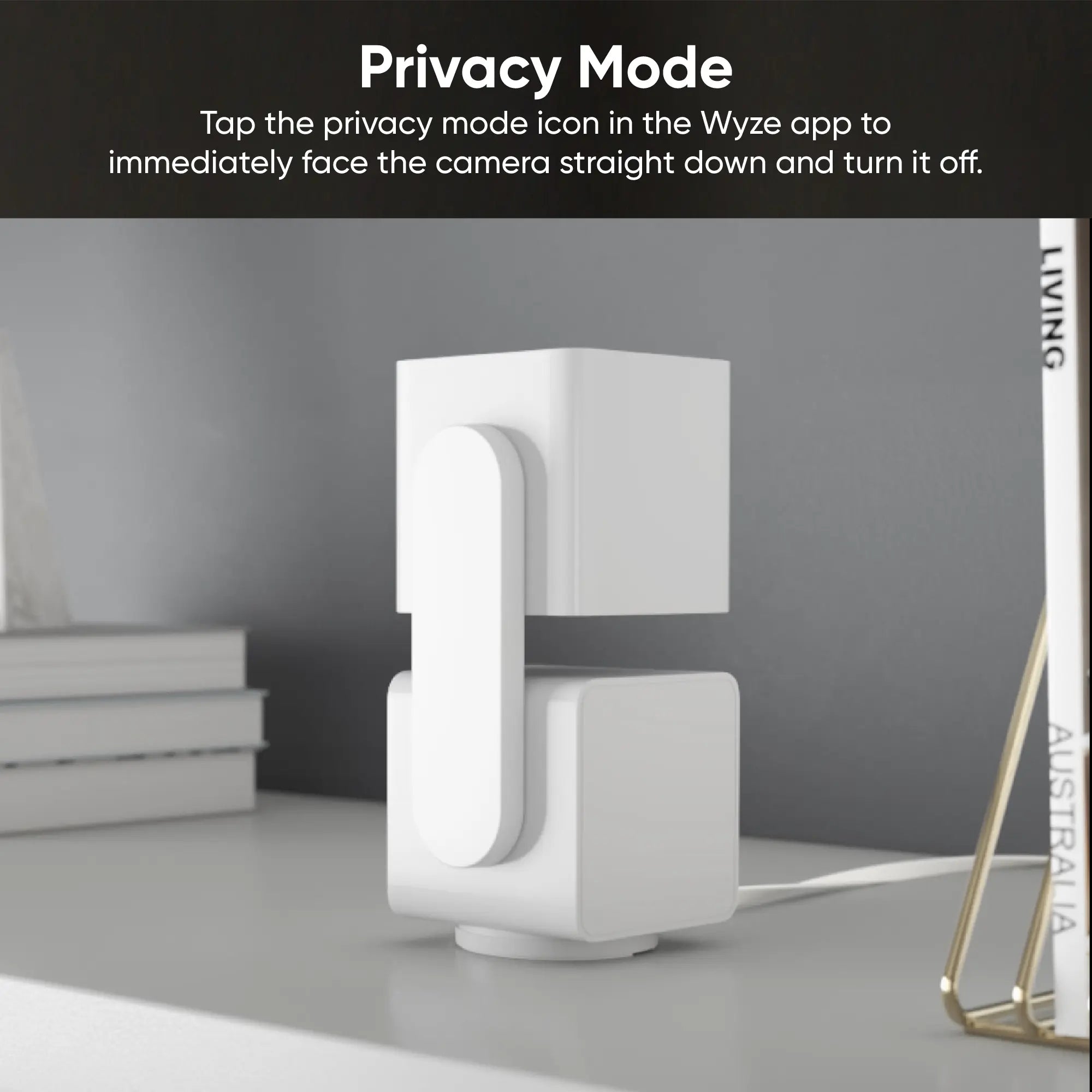 Cam Indoor/Outdoor IP65 Rated 1080p